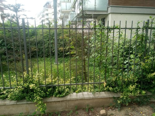 IMG_20240815_125432_438