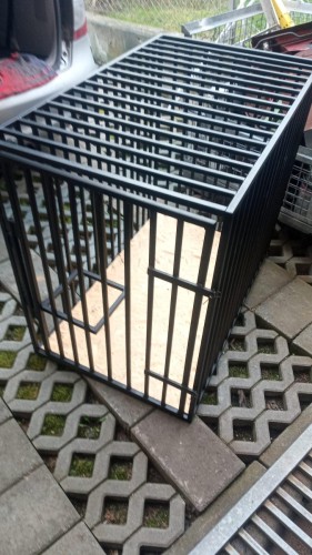 IMG_20240318_163923_106