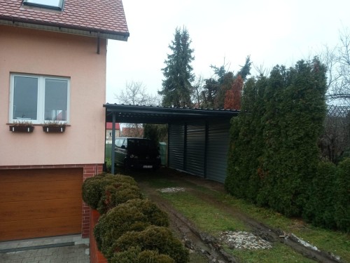 IMG_20241211_135520_352